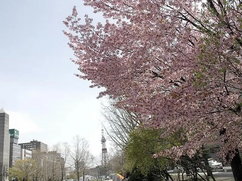 Tmark City Hotel Sapporo